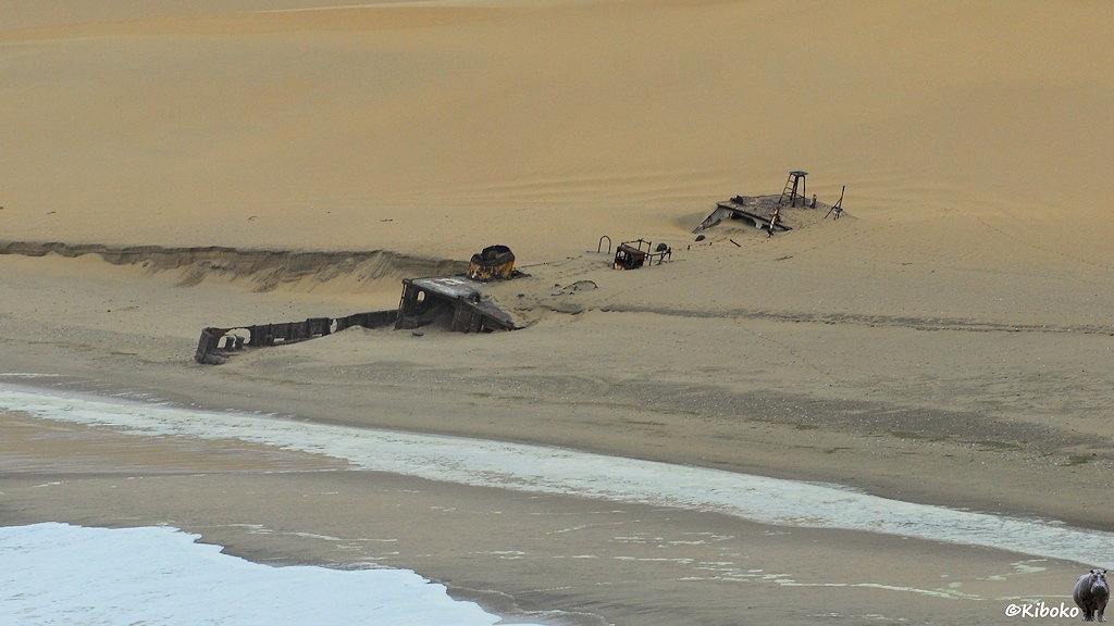 Luftaufnahme eines Schiffswracks am Strand. Nur noch die Aufbauten schauen aus dem Sand heraus.