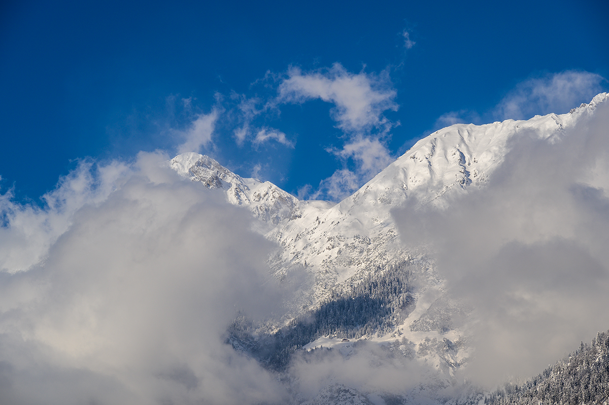 20210116_NZ6_1456NF.jpg