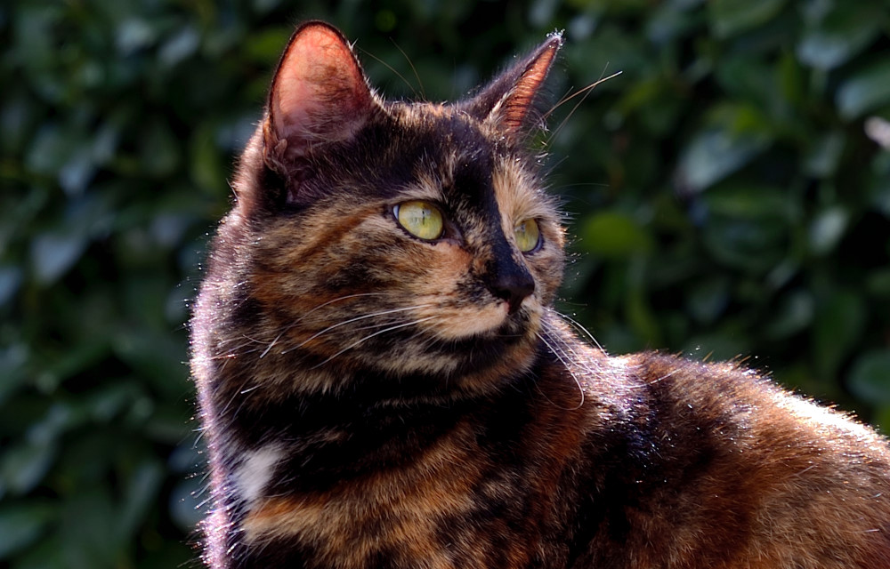 DSC_7753_01.JPG
