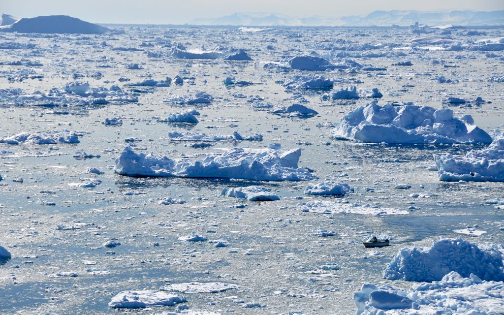 _dsc2124.jpg