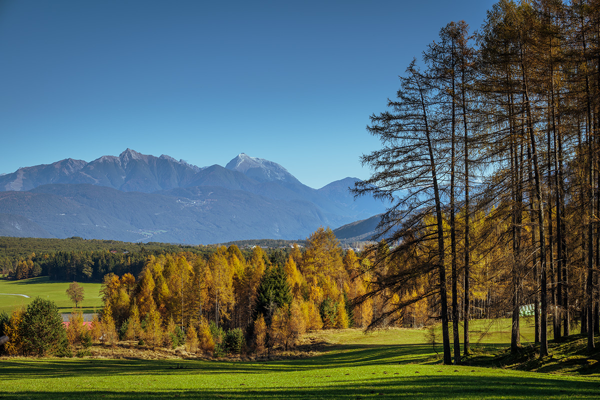 20201106_NZ7_1106NF.jpg