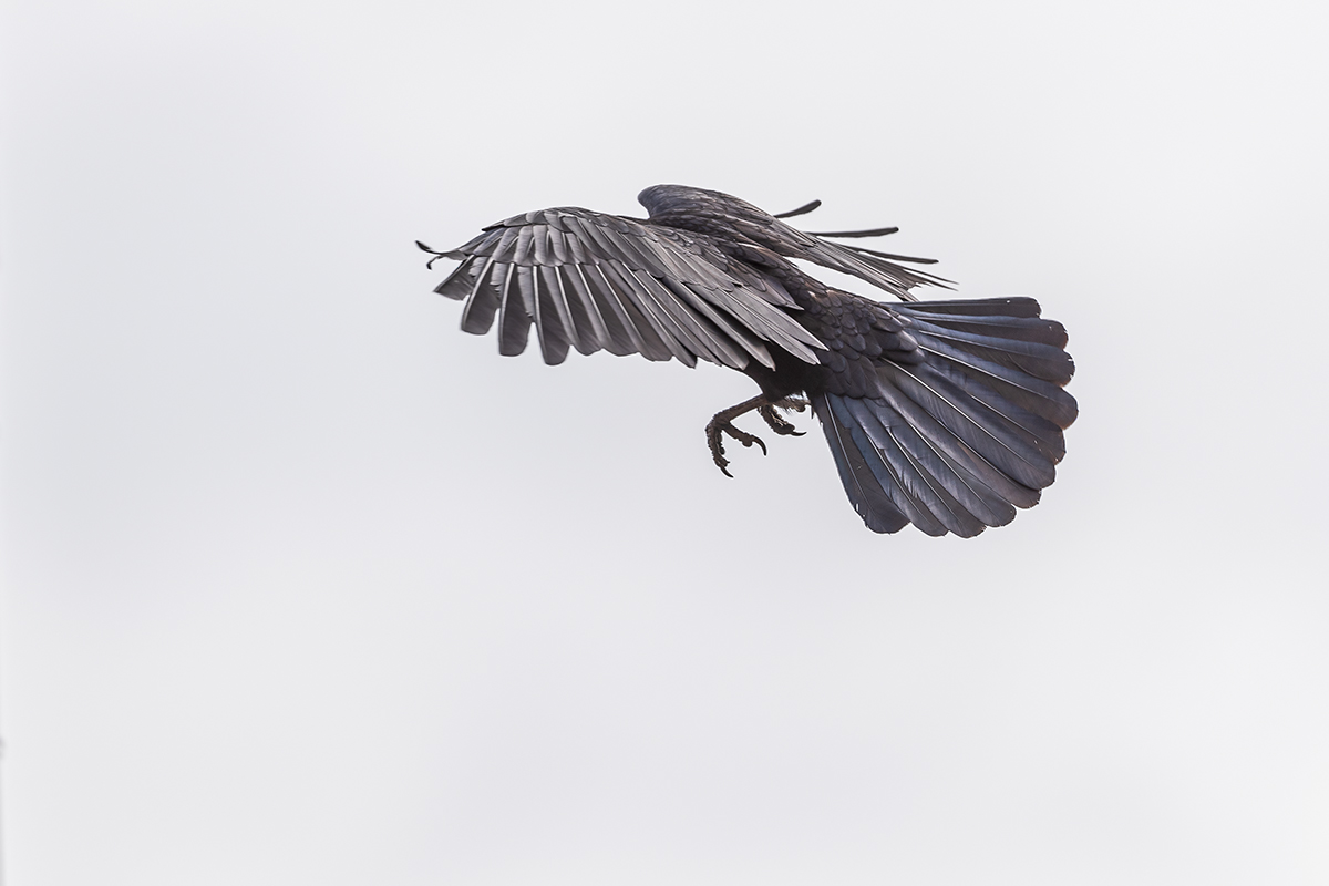 20201007_ND5_0698NF.jpg