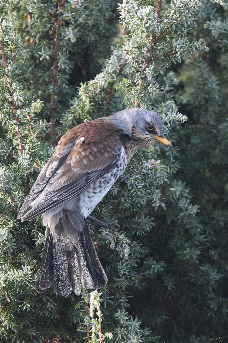 DSC_0641.jpg