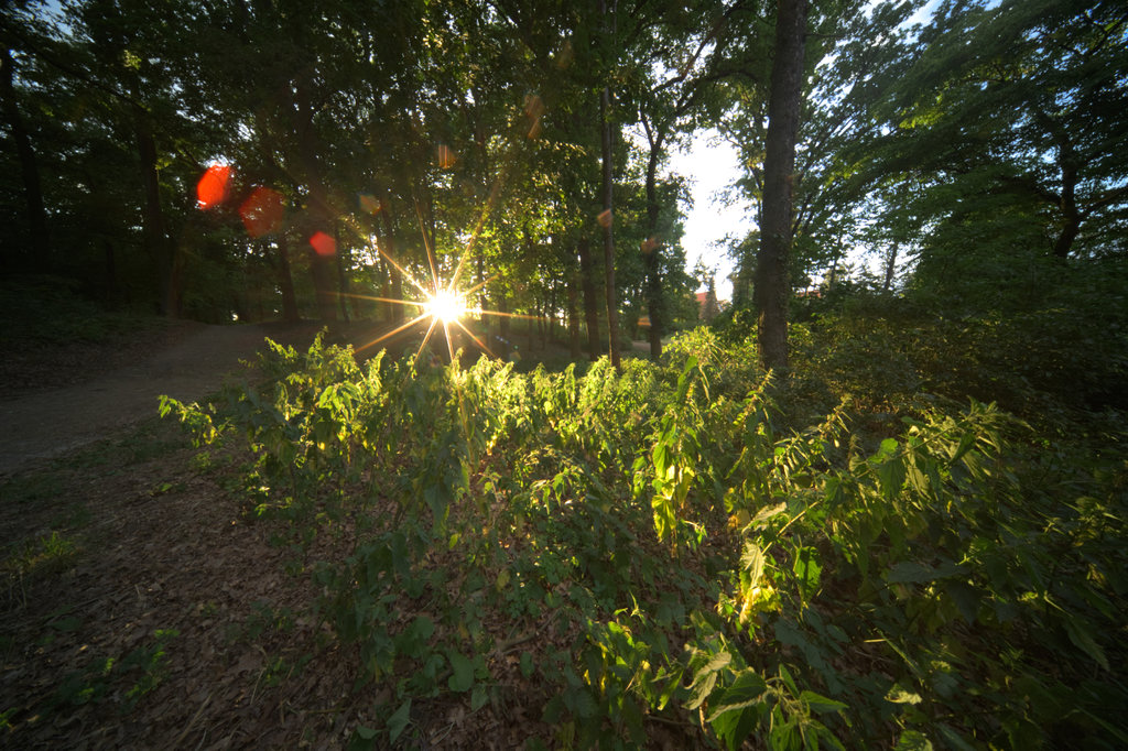 41769731xz.jpg