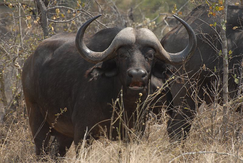 suedafrika_046.jpg