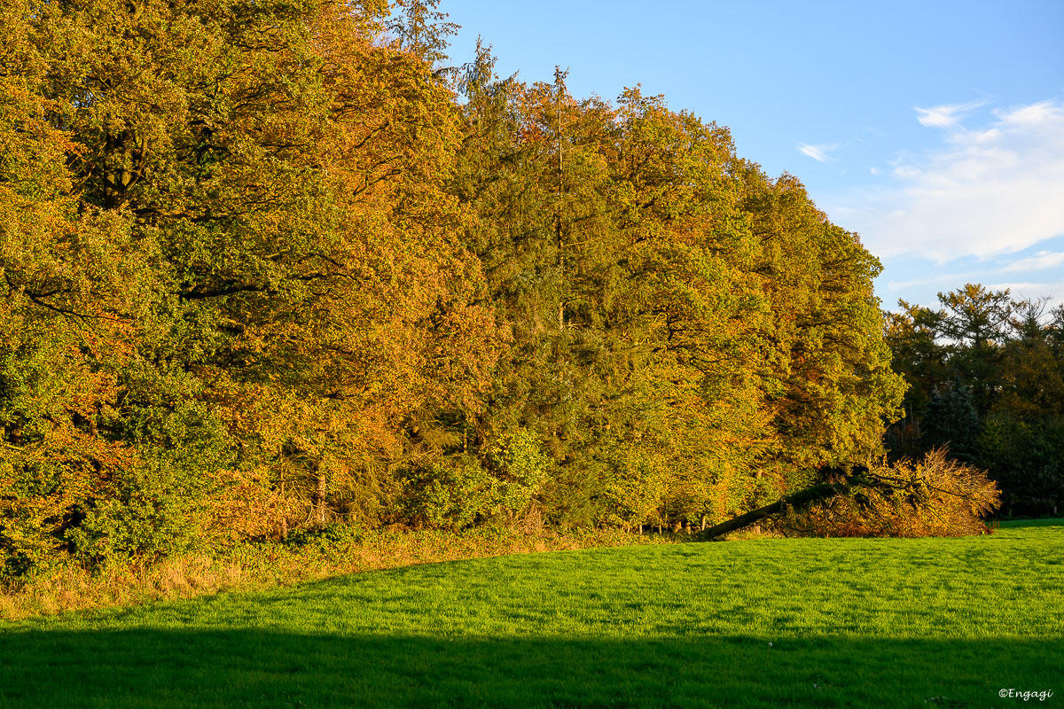 DSC_0693.jpg