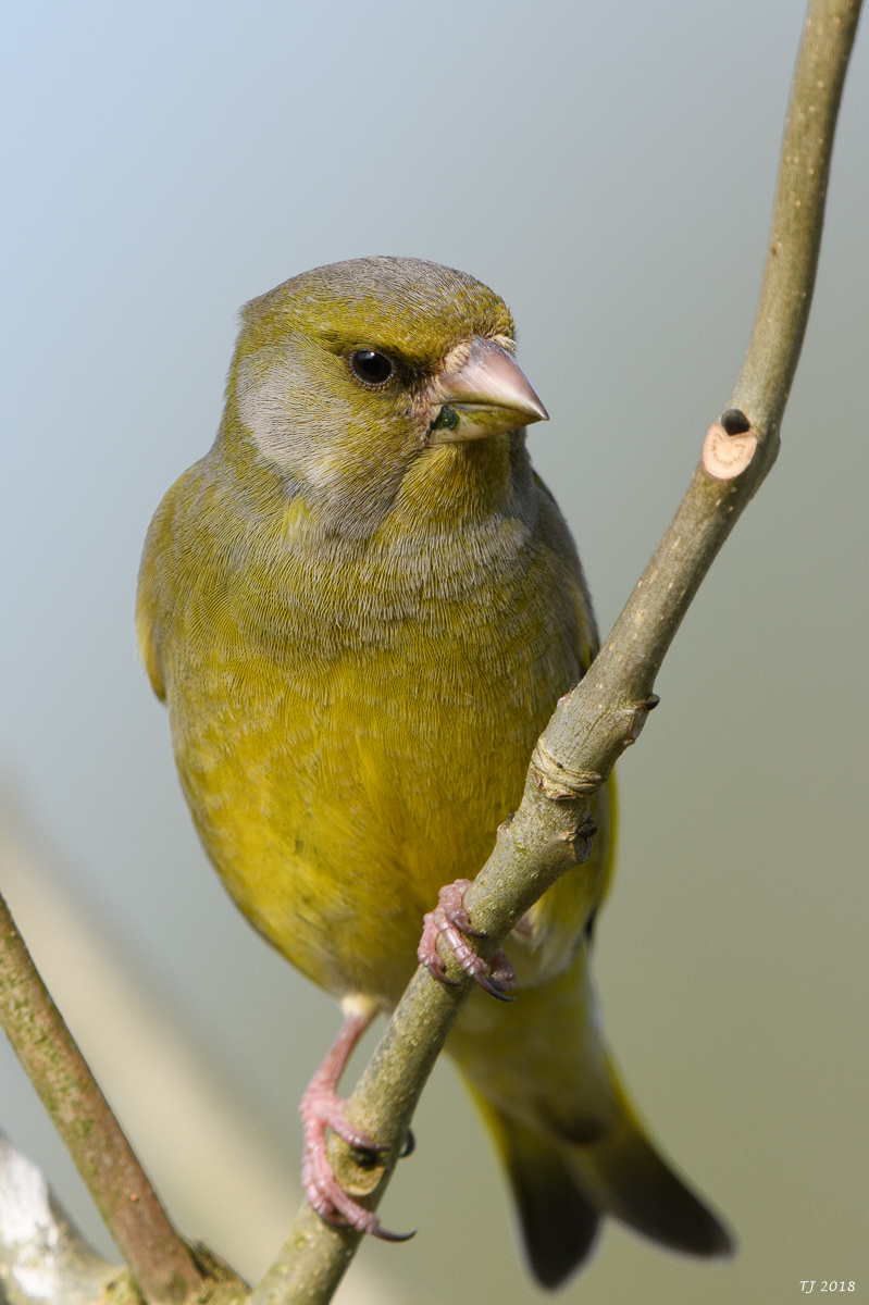 DSC_4978.jpg