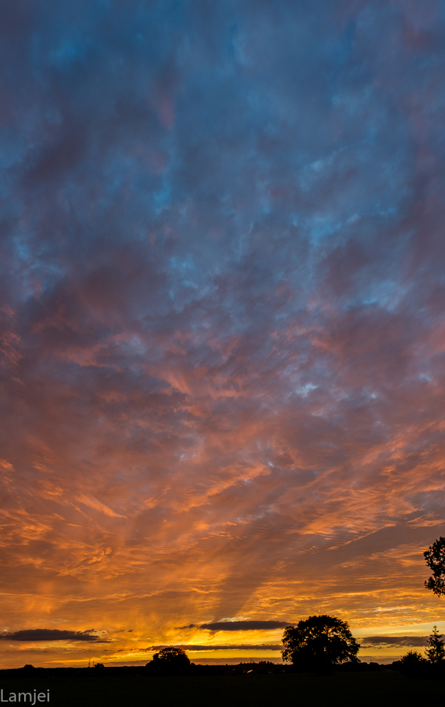 DSC_0604_5.jpg