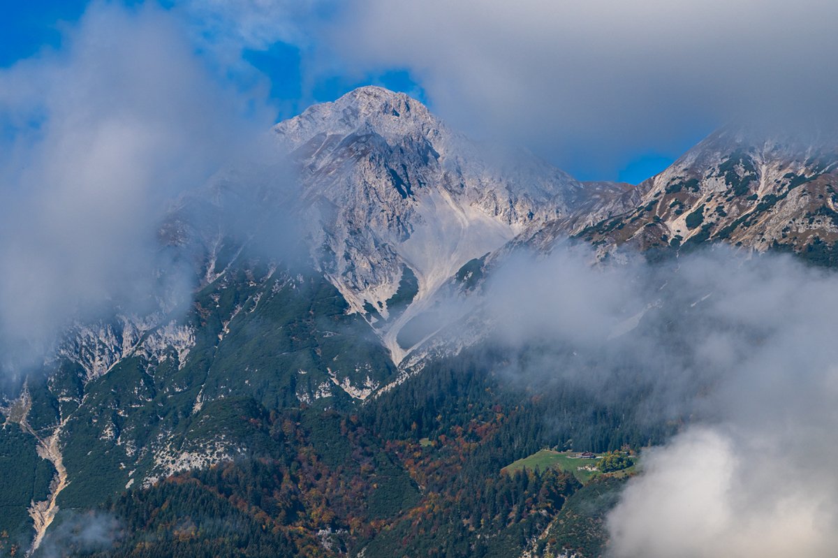 20261018_NZ8_0040NF.jpg
