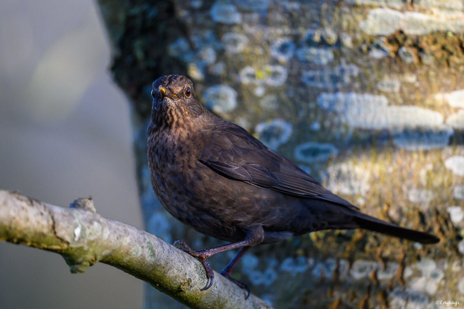 DSC_3518.jpg