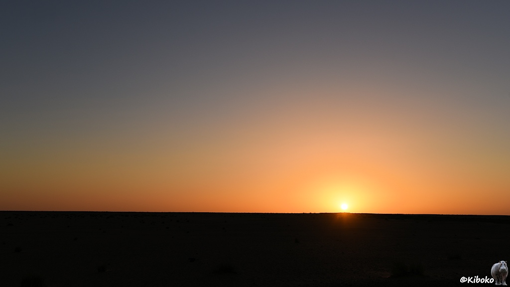 Das Bild zeigt den Sonnenuntergang über der Wüste. Das untere Drittel des Bildes ist schwarz. Darüber ist ein oranger Streifen mit der Sonne die kurz über dem Horizont steht. Darüber geht der Himmel von Orange in ein sehr dunkles Blau über.
