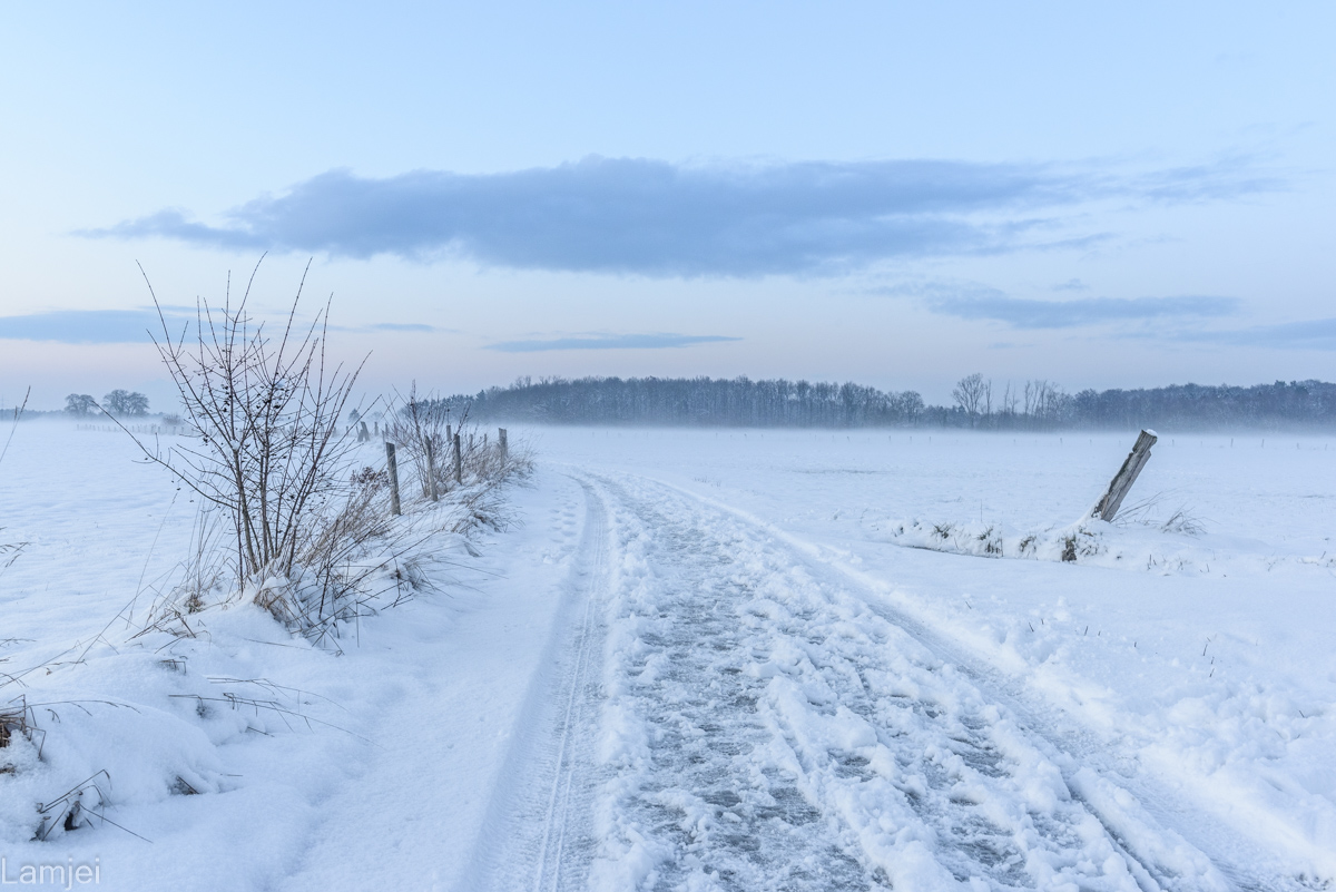 DSC_5453.jpg