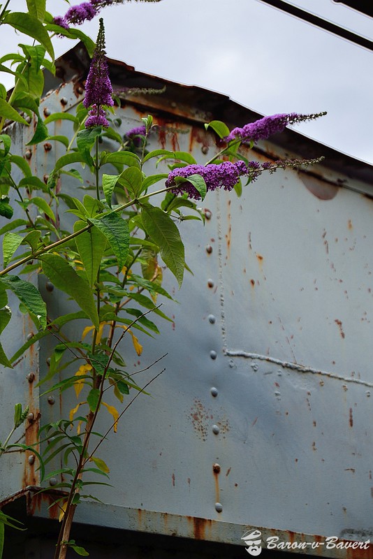 14403335600_9f3a29666b_c.jpg