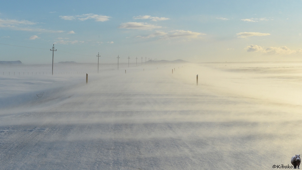Das Bild zeigt eine vereiste Straße in weitläufiger Landschaft. Der Wind weht Schnee über die Straße. Die gelben Leitpfähle verschwinden im Flugschnee. Der Himmel ist blau mit einzelnen kleinen Wolken.