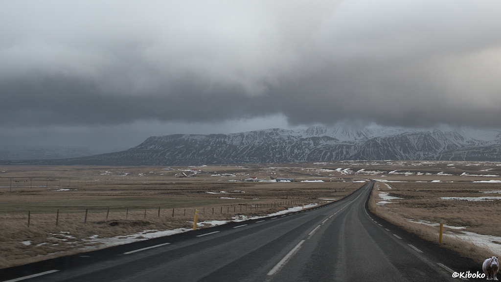 Eine Teerstraße führt durch ein Tal in das Bild hinein. Neben der Straße sind gelbbraune Wiesen. Im Hintergrund ist eine schneebedeckte Bergkette. Darüber ist eine dunkle Wolke, die die Berge teilweise verdeckt.