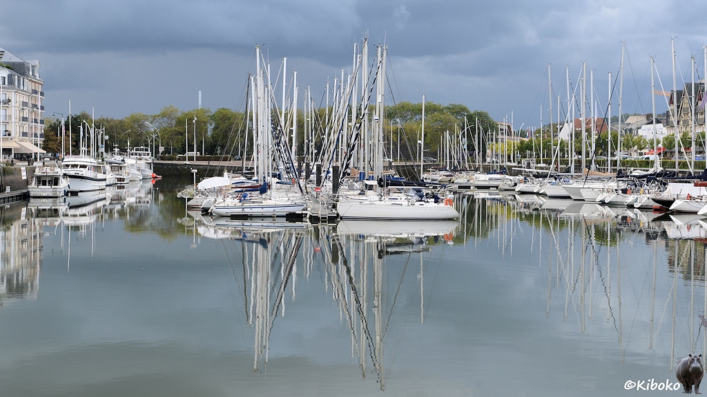 Das Bild zeigt kleine Segelboote in einem Yachthafen. Die Boote spiegeln sich im Wasser. Am Himmel sind dunkelgraue Wolken.