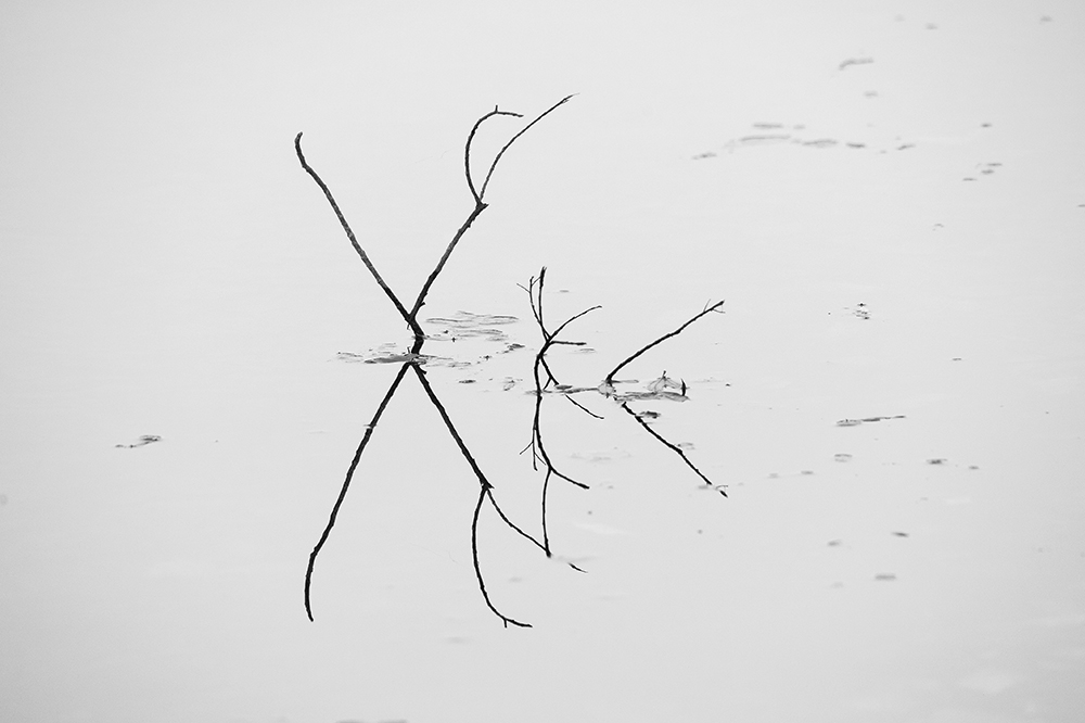 novemberland-41sw.jpg