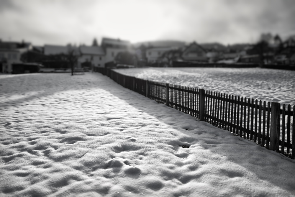 Winter-1-NFF.jpg