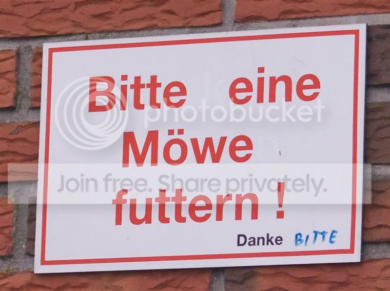 040120096von33.jpg
