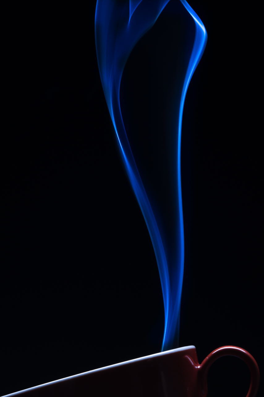24031265fl.jpg