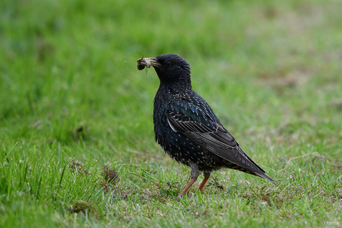 DSC_5114.jpg