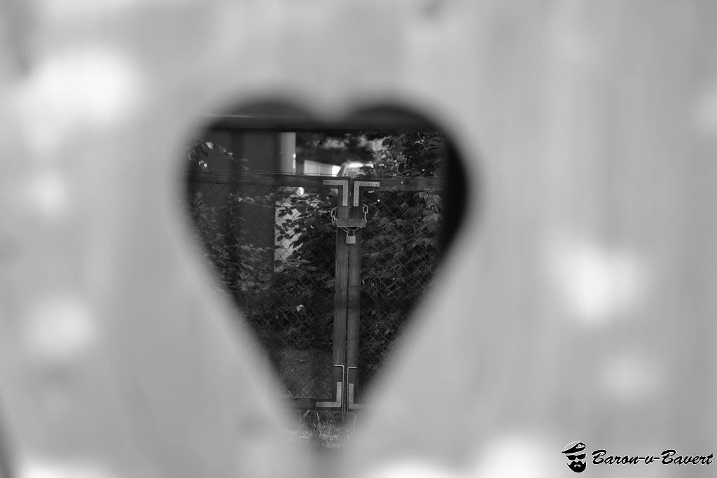 14191467790_77f019e003_b.jpg