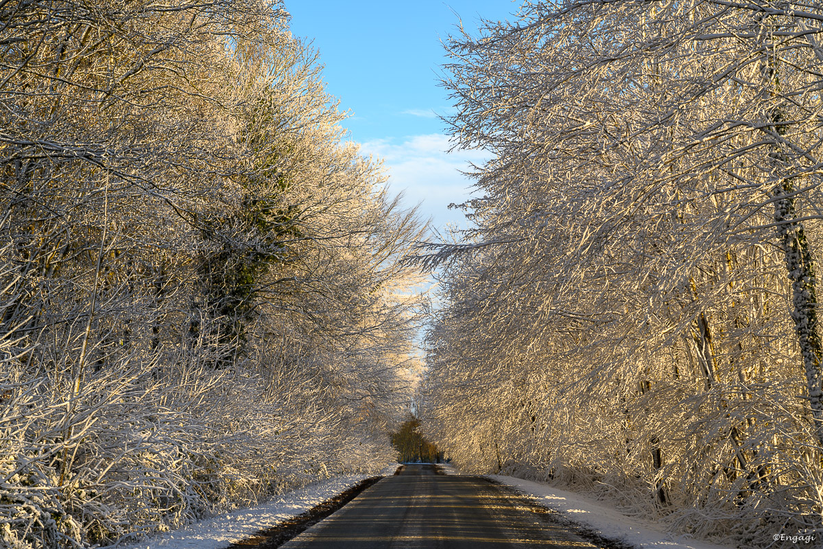 DSC_3903.jpg