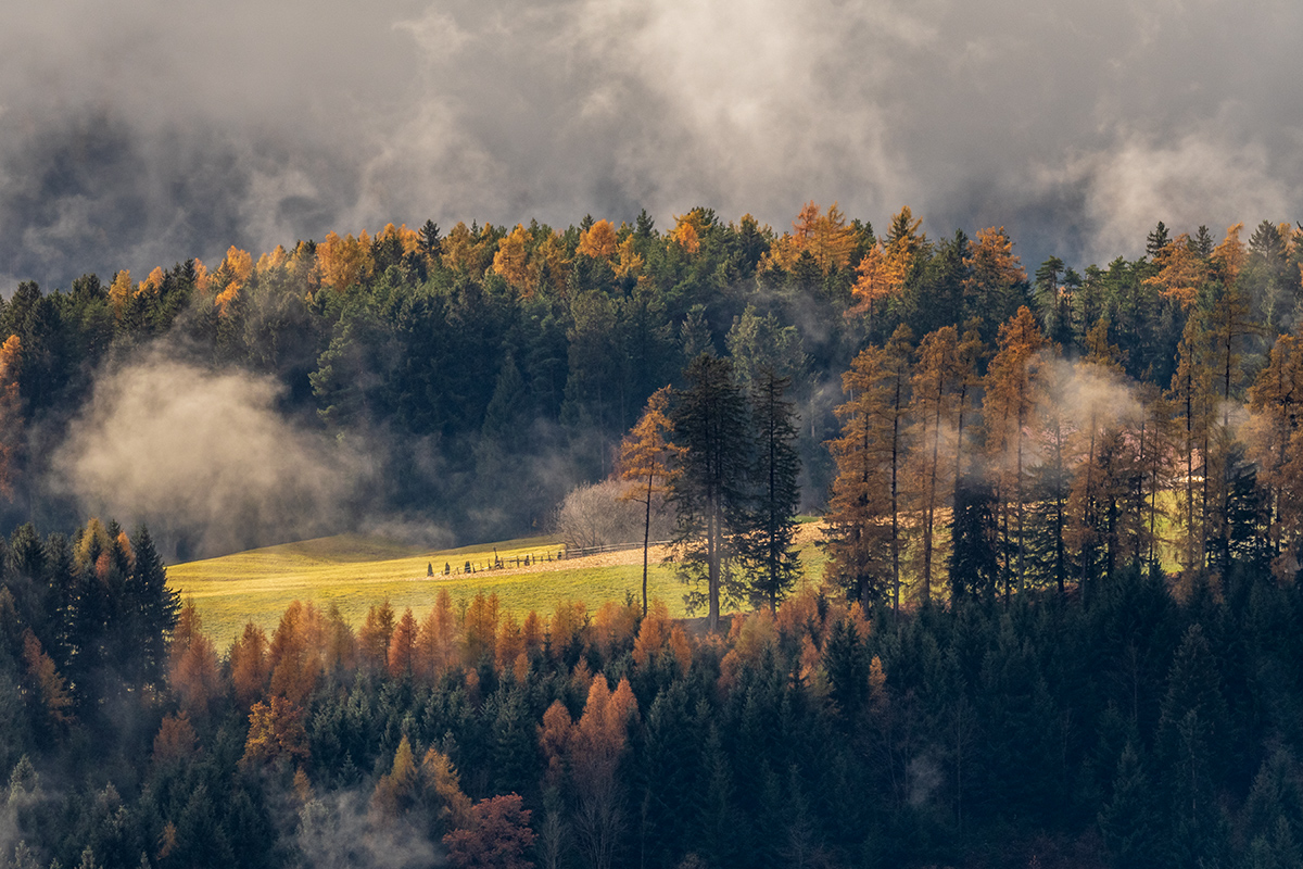 20211114_D500_1019NF.jpg