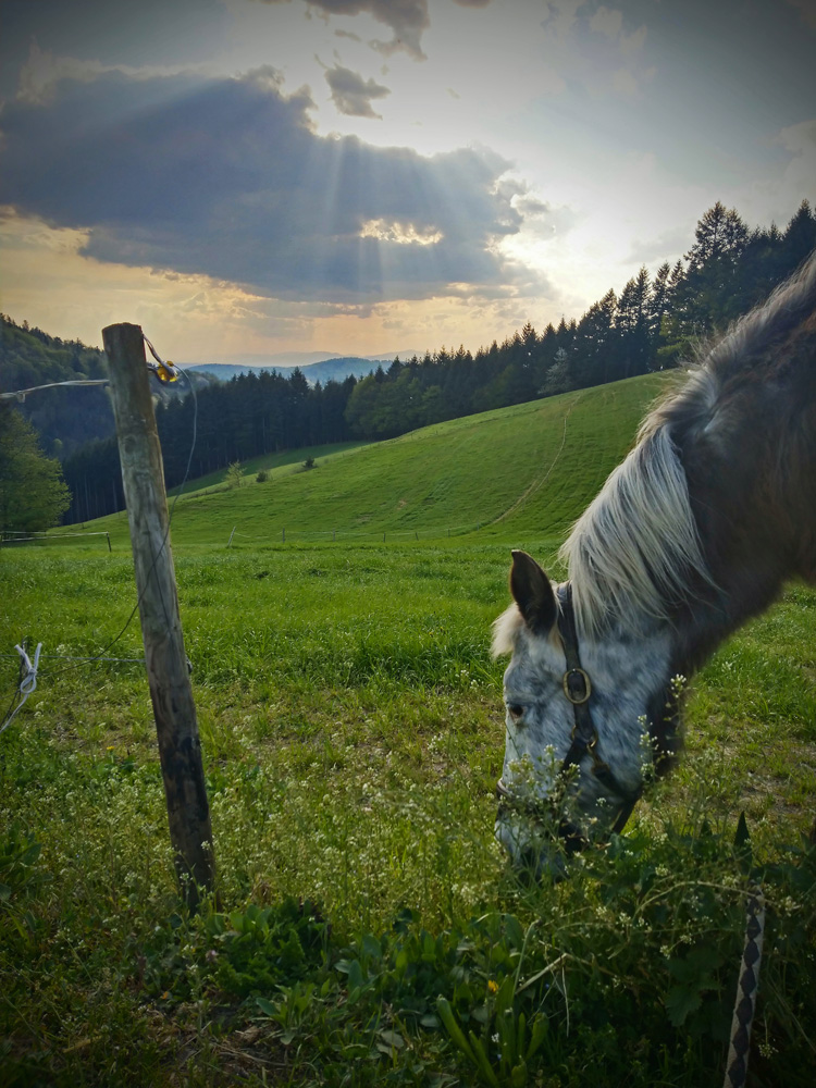 IMAG0886.jpg