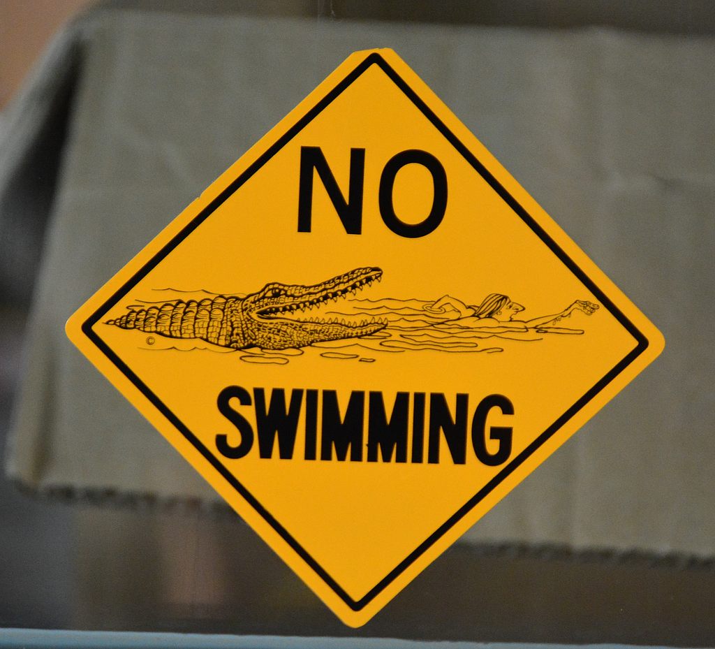 swimming.jpg