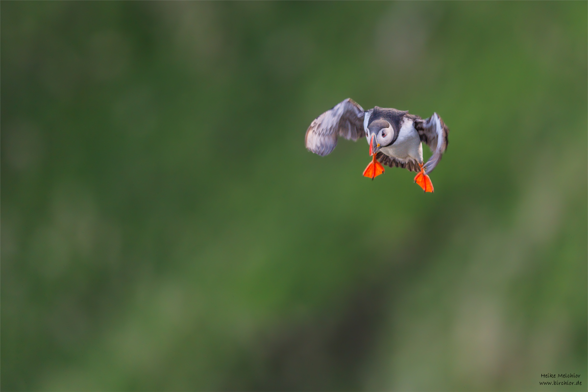 20140514_0628_PS_1200Px.jpg