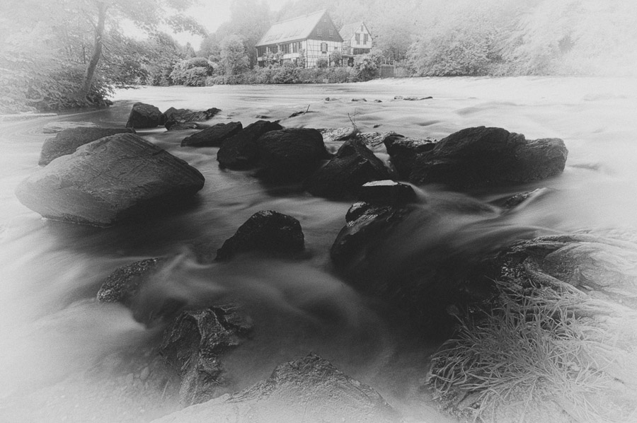 Kotten_0951.jpg