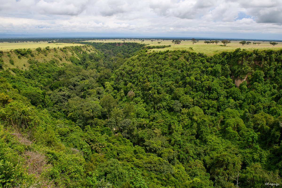 Uganda%201324.jpg