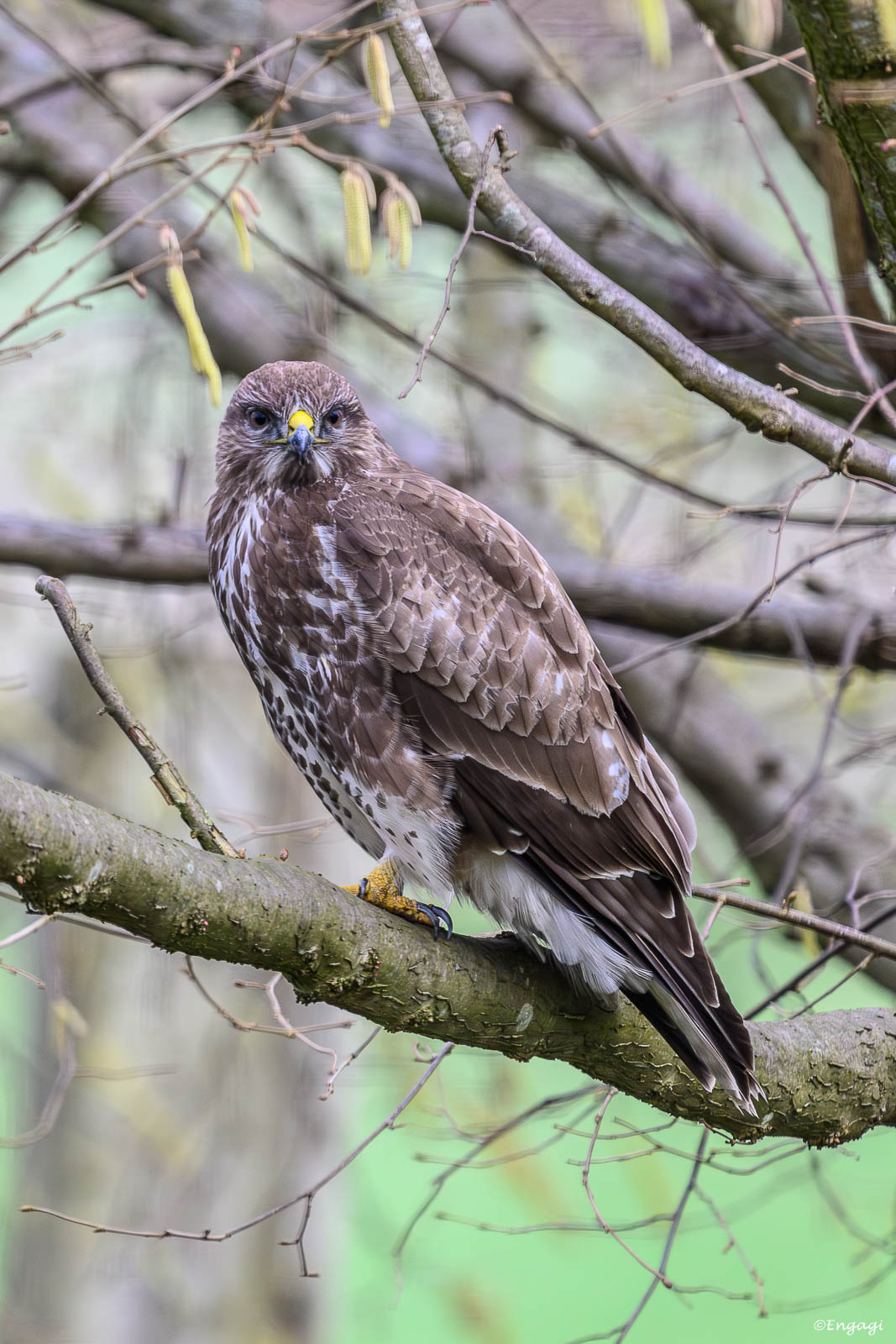 DSC_5714.jpg