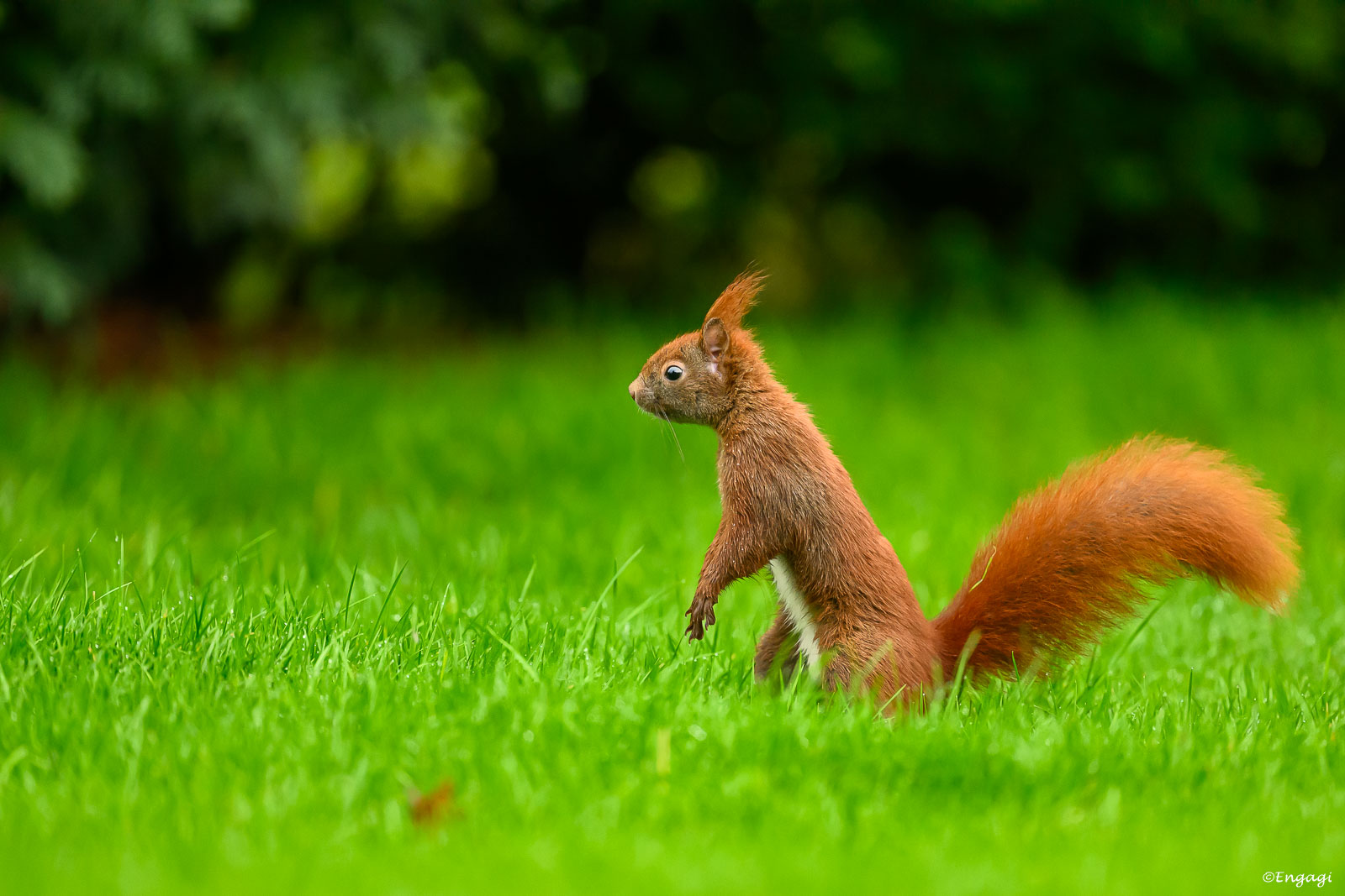 DSC_6227.jpg