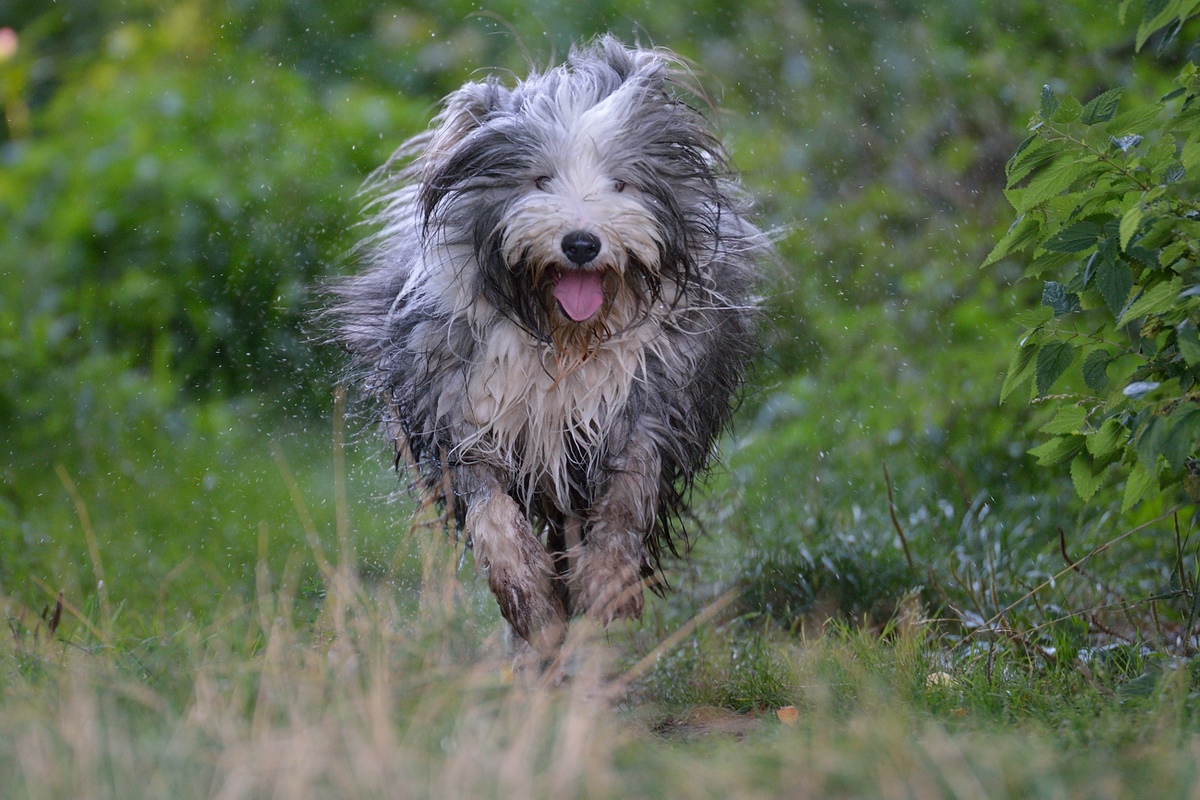 __dsc_6275.jpg