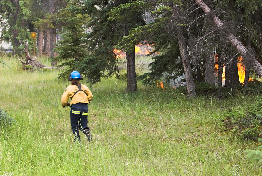 nff_canada_waldbrand01.jpg