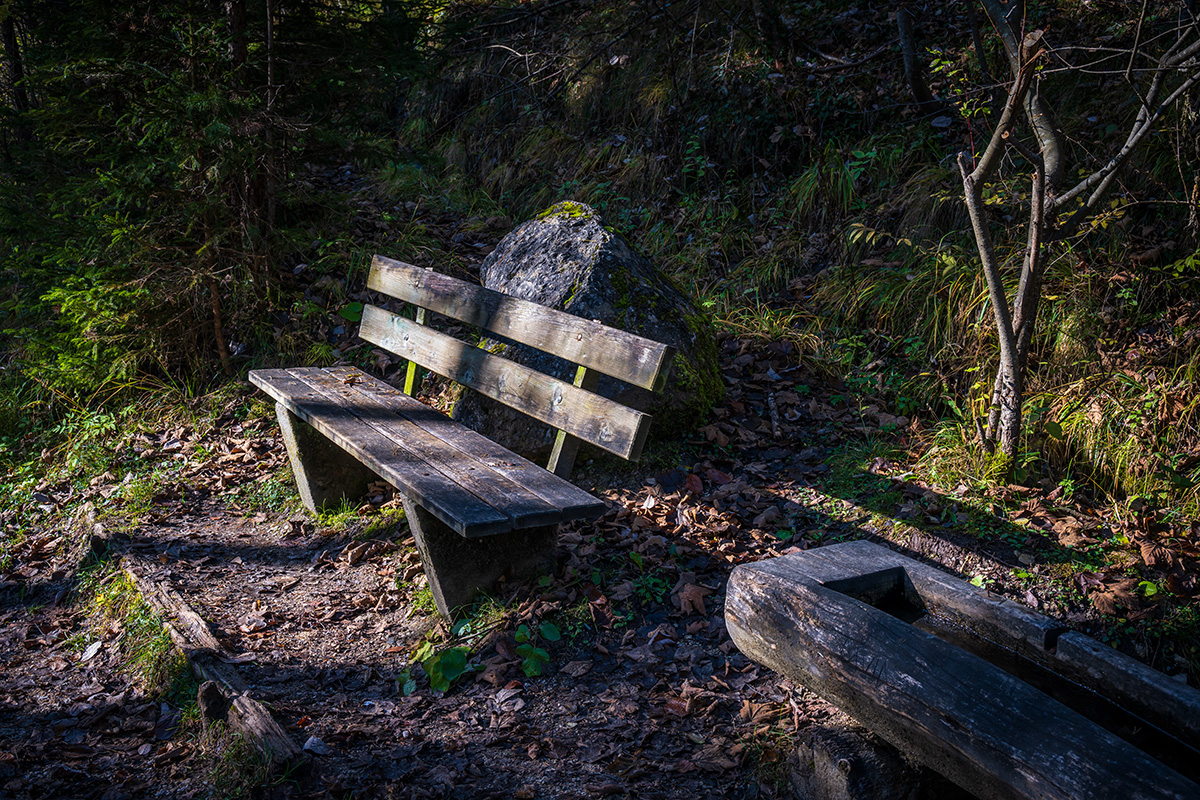 20201107_NZ7_1245NF.jpg