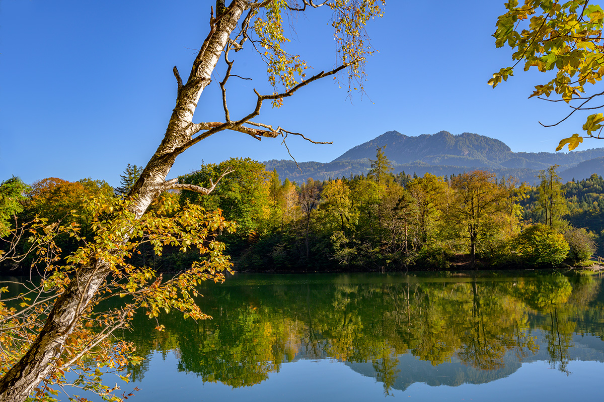 20211018_NZ7_1510NF.jpg