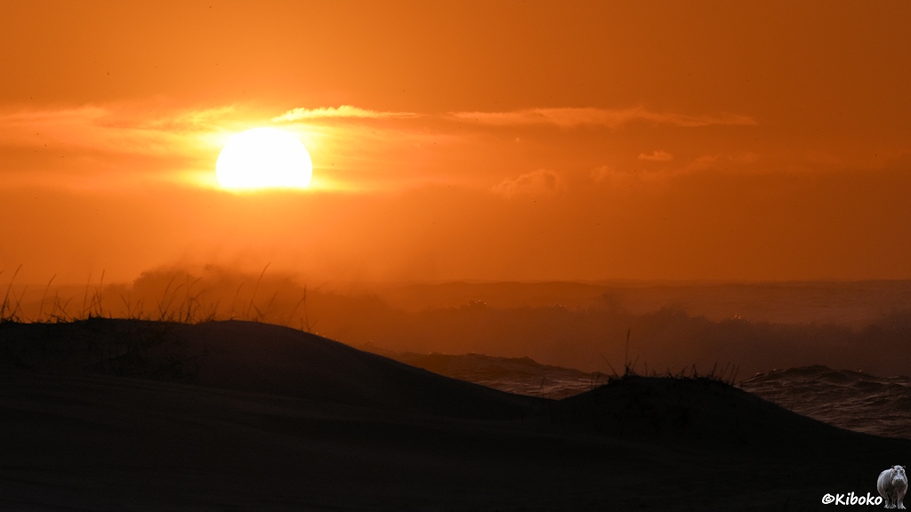 Das Bild zeigt eine tiefstehende Sonne über dem Meer. Der Himmel ist orange. Die Dünen im Vordergrund sind fast schwarz.