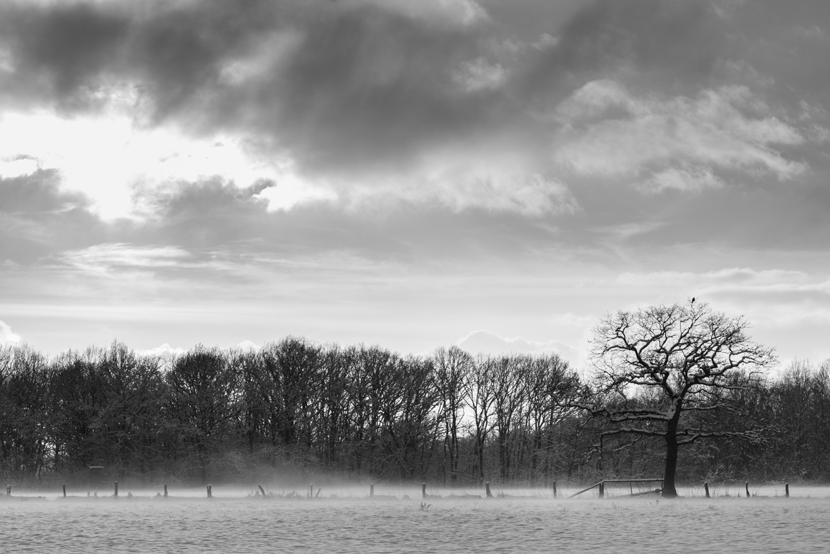 DSC_4995.jpg