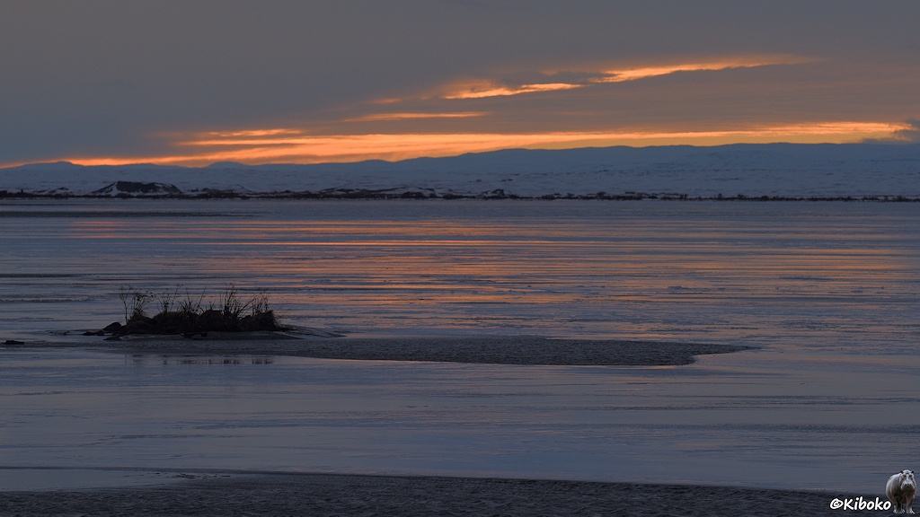 Eine kleine flache Insel mit ein paar Grasbüscheln ragt aus einem vereisten See heraus. Am Horizont ist eine Wolkenlücke. Oranges Licht dringt durch die Wolkendecke und spiegelt sich im Eis.