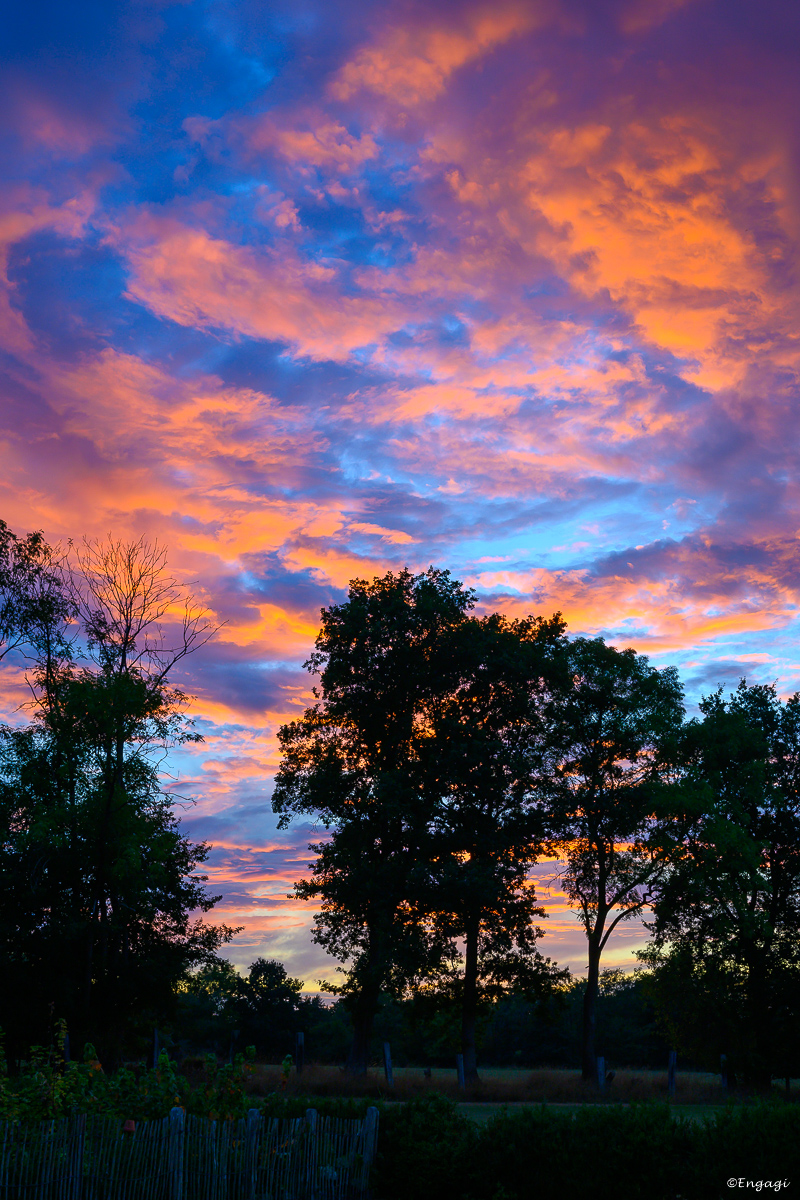 DSC_2241.jpg