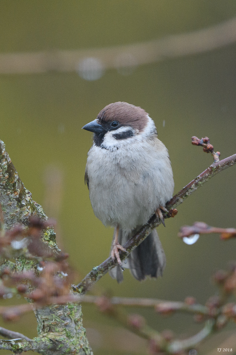 DSC_3683.jpg