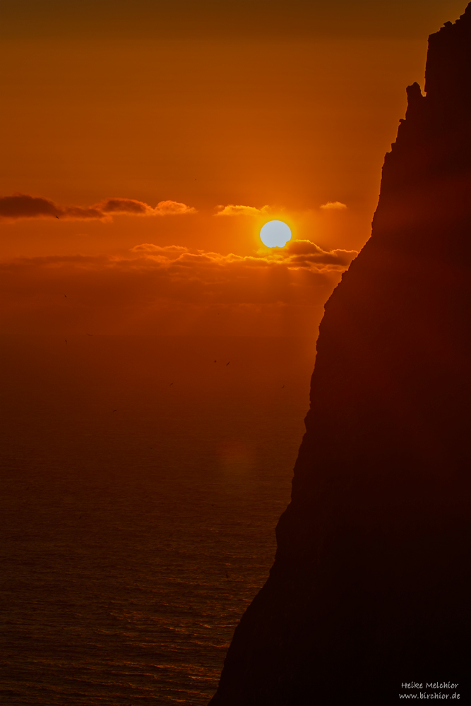 20140513_0158_PS_1000Px.jpg