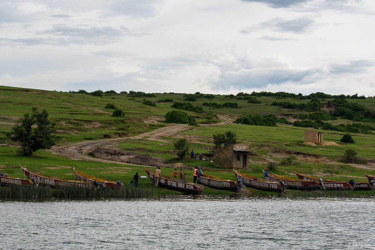 Uganda%201116.jpg