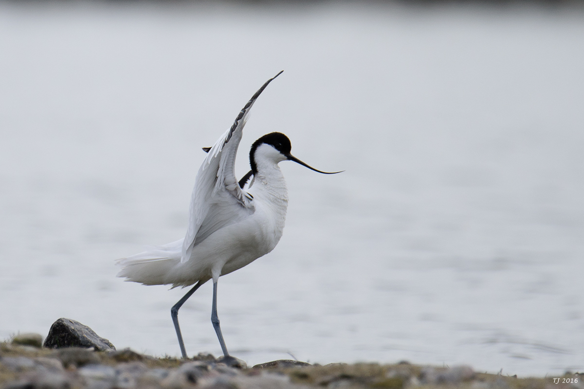 DSC_4942.jpg