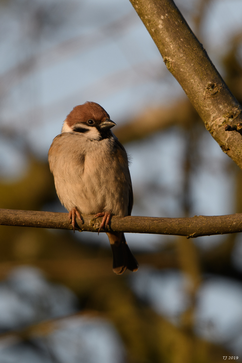 DSC_7210.jpg