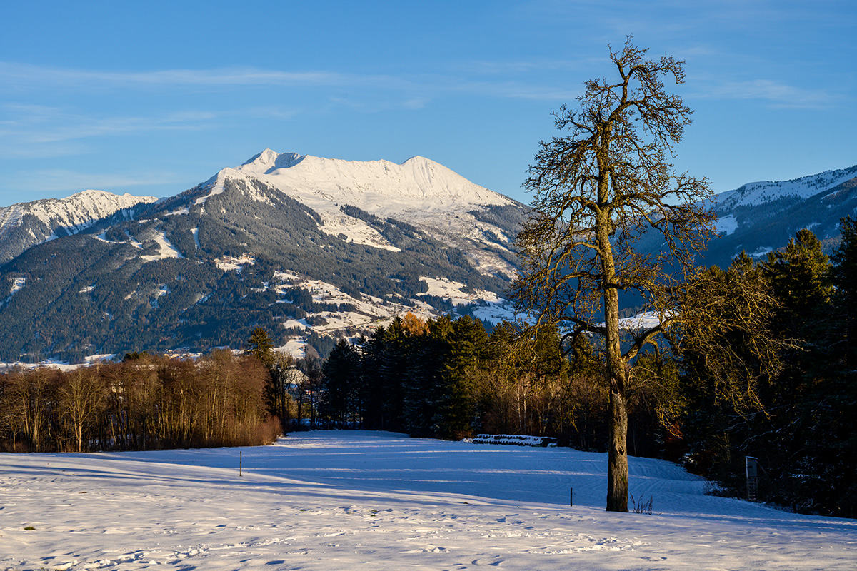 20211203_NZ7_0014NF.jpg