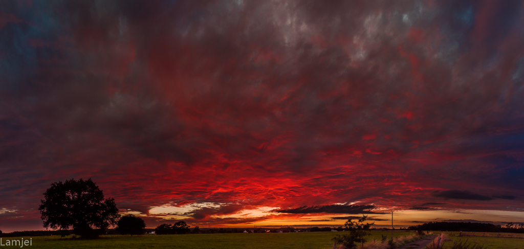DSC_0736.jpg